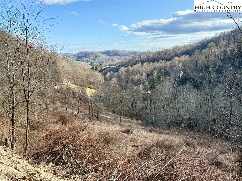 Image number 1 for the current listing