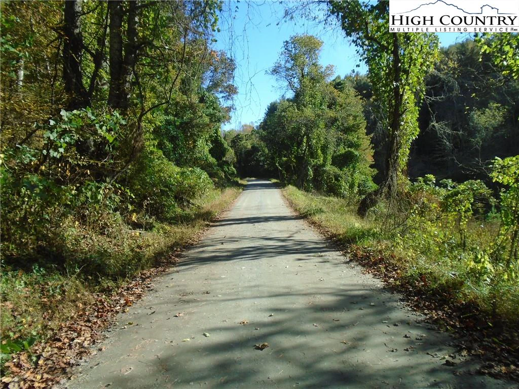 Image number 1 for the current listing