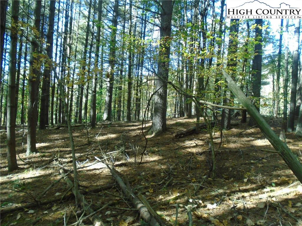 Image number 21 for the current listing
