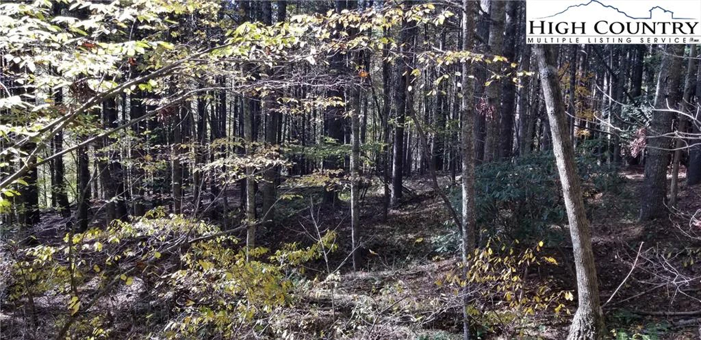 Image number 19 for the current listing