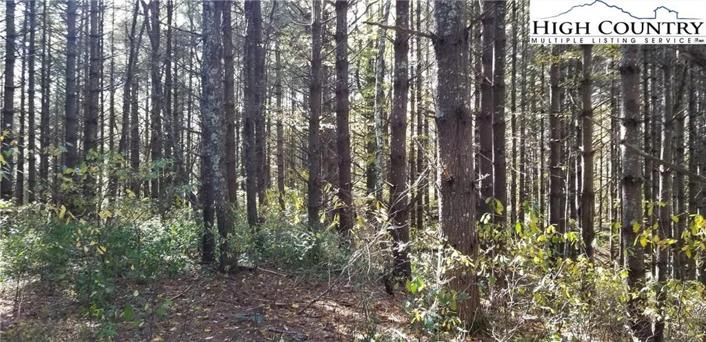 Image number 4 for the current listing
