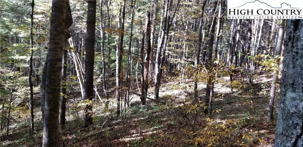 Image number 12 for the current listing
