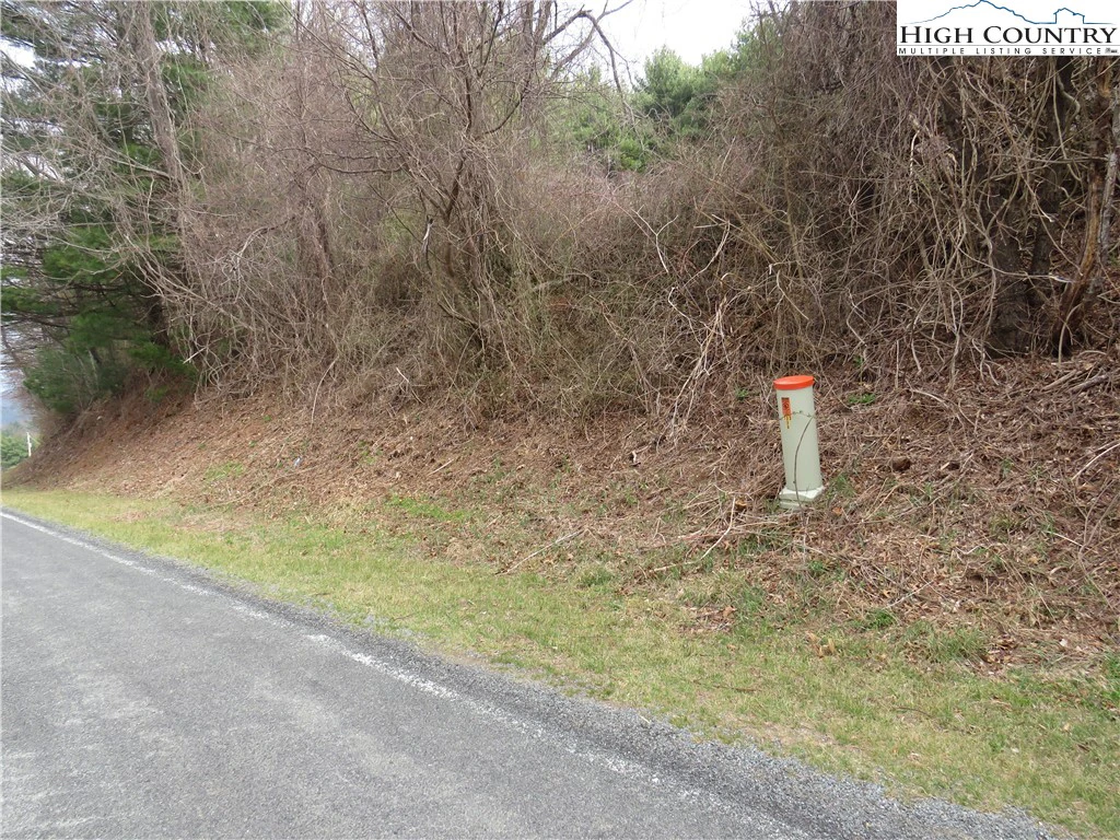 Image number 4 for the current listing