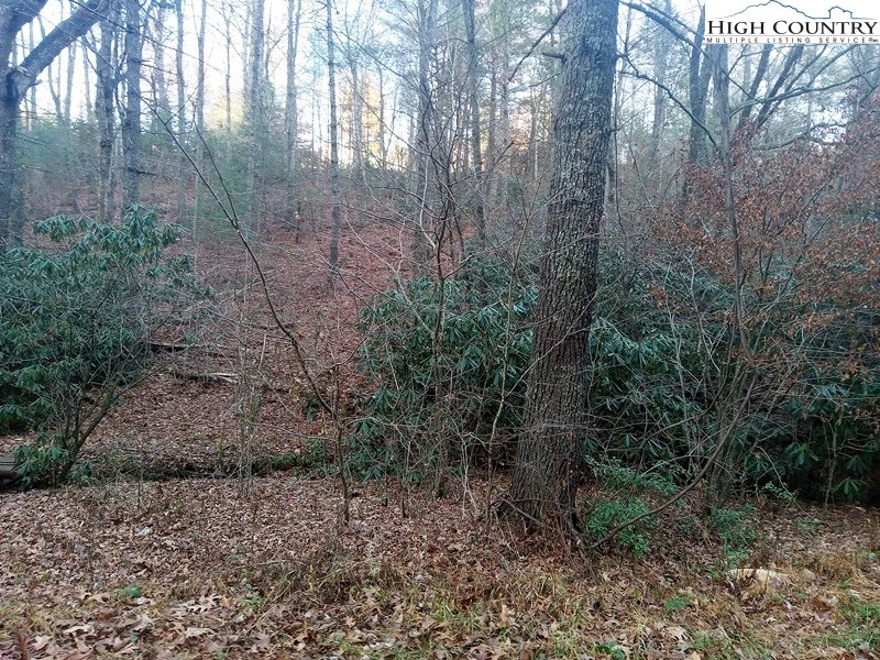 Image number 18 for the current listing