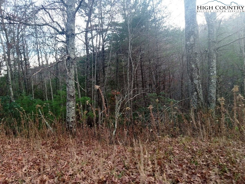 Image number 15 for the current listing
