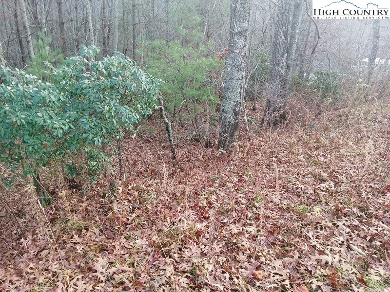 Image number 13 for the current listing