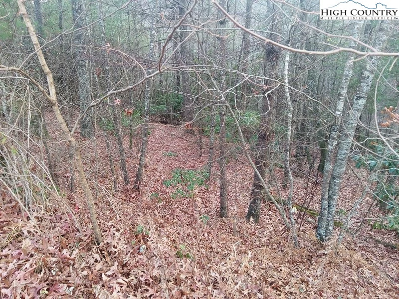 Image number 2 for the current listing
