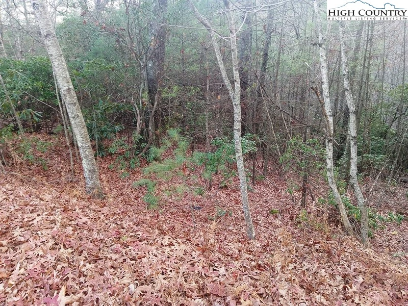 Image number 10 for the current listing