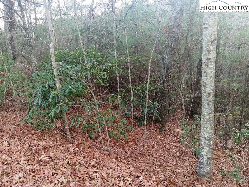 Image number 9 for the current listing
