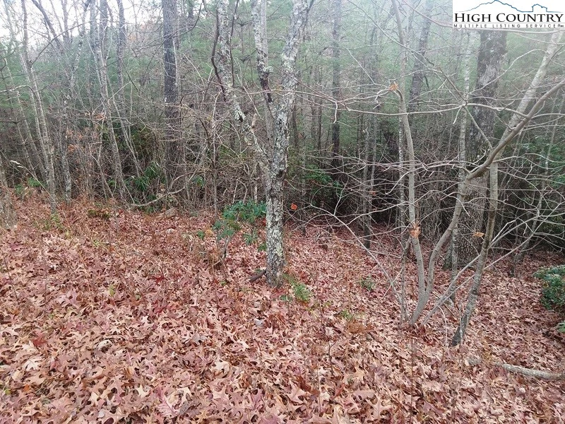 Image number 7 for the current listing