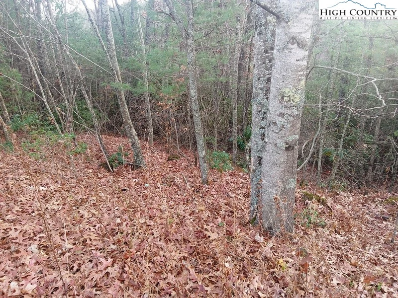 Image number 6 for the current listing