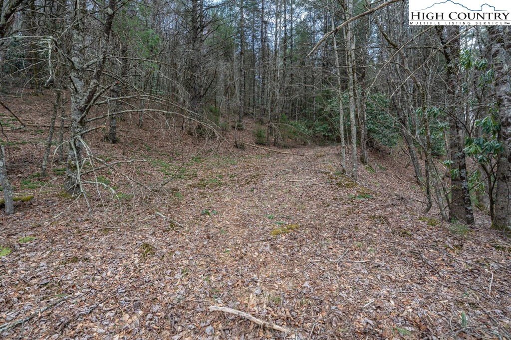 Image number 13 for the current listing