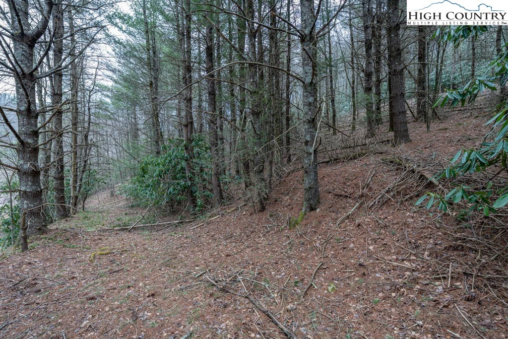Image number 7 for the current listing