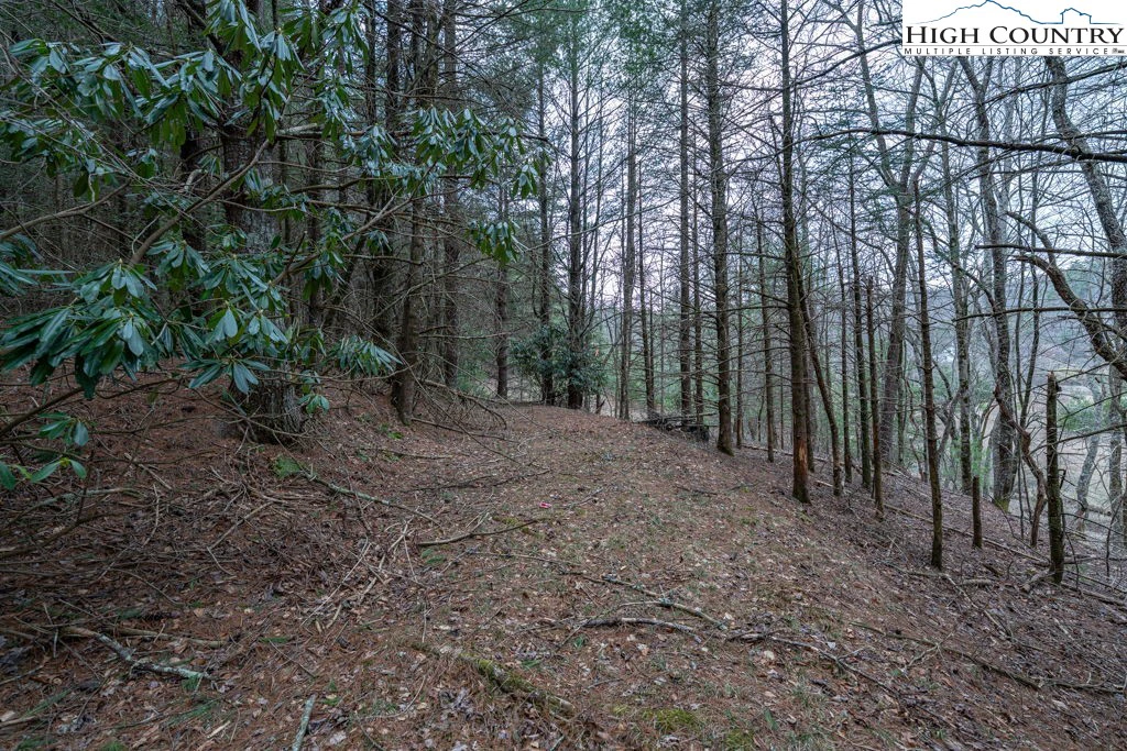 Image number 8 for the current listing