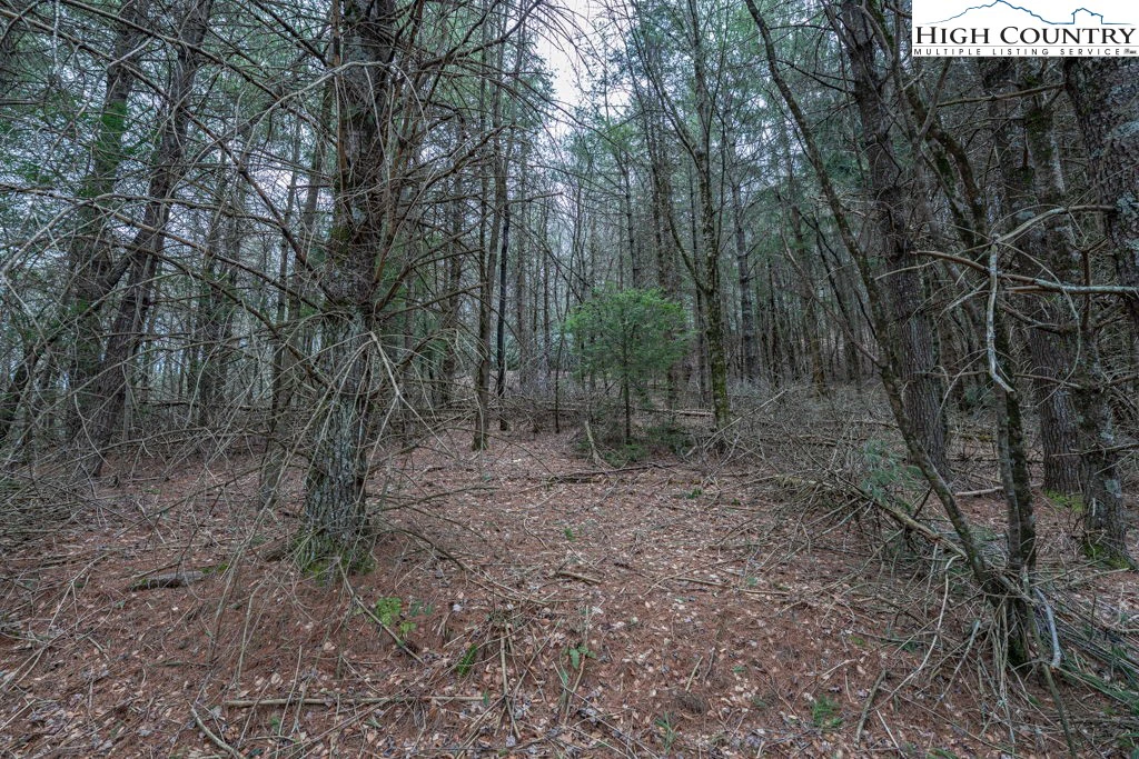 Image number 9 for the current listing