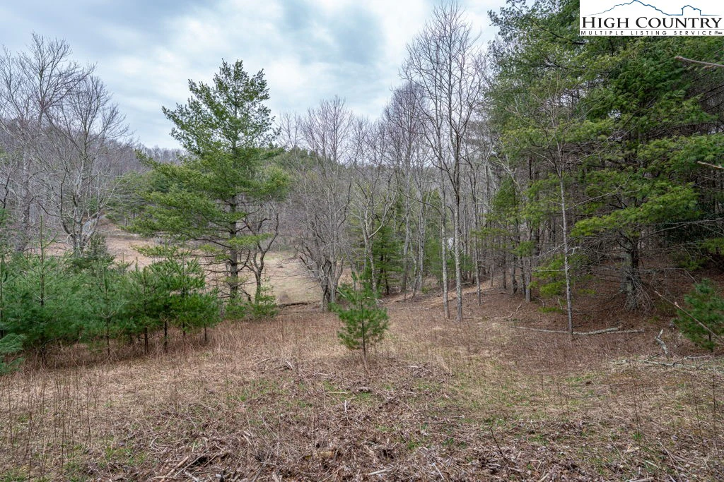 Image number 10 for the current listing
