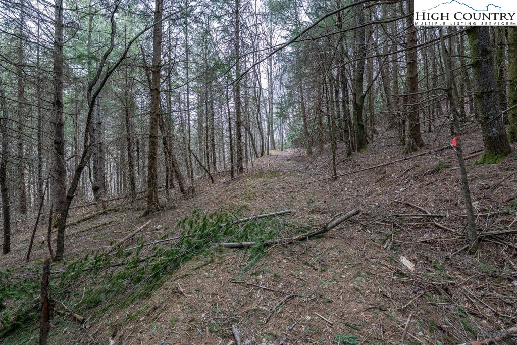 Image number 11 for the current listing