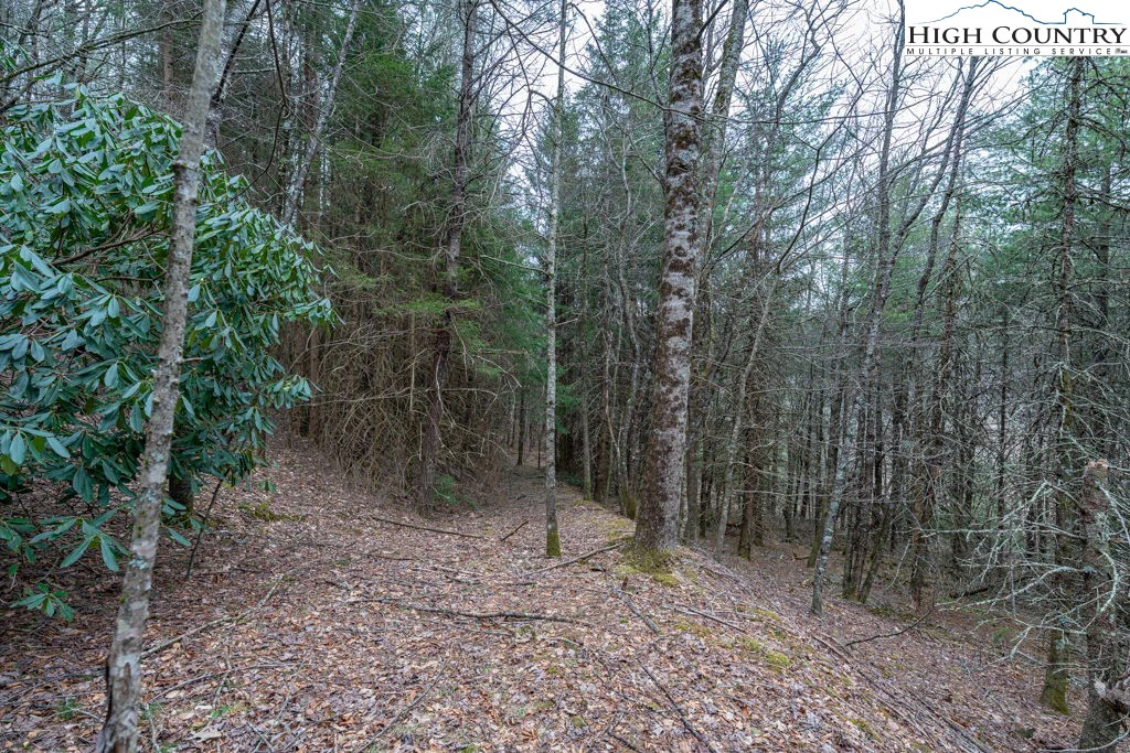 Image number 12 for the current listing
