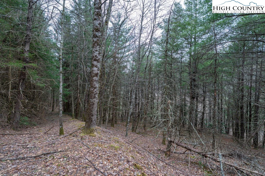 Image number 2 for the current listing