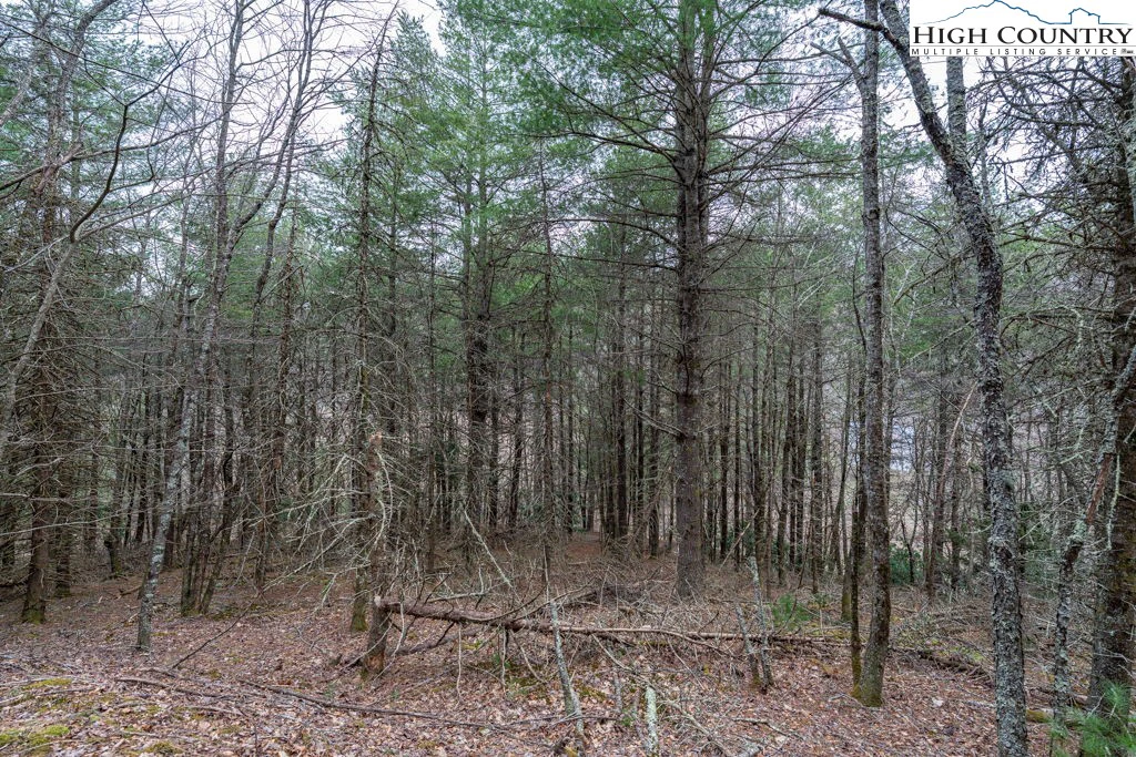 Image number 14 for the current listing