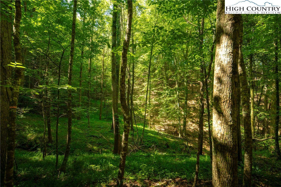Image number 5 for the current listing