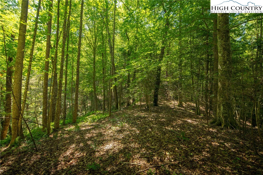 Image number 18 for the current listing