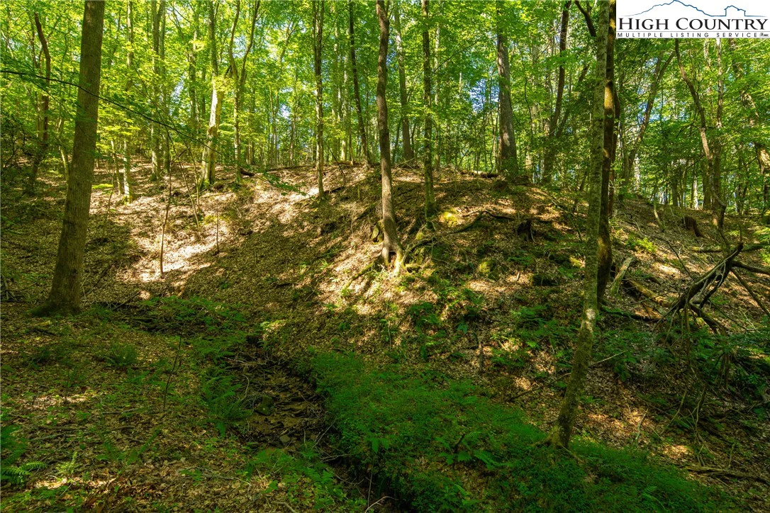 Image number 7 for the current listing