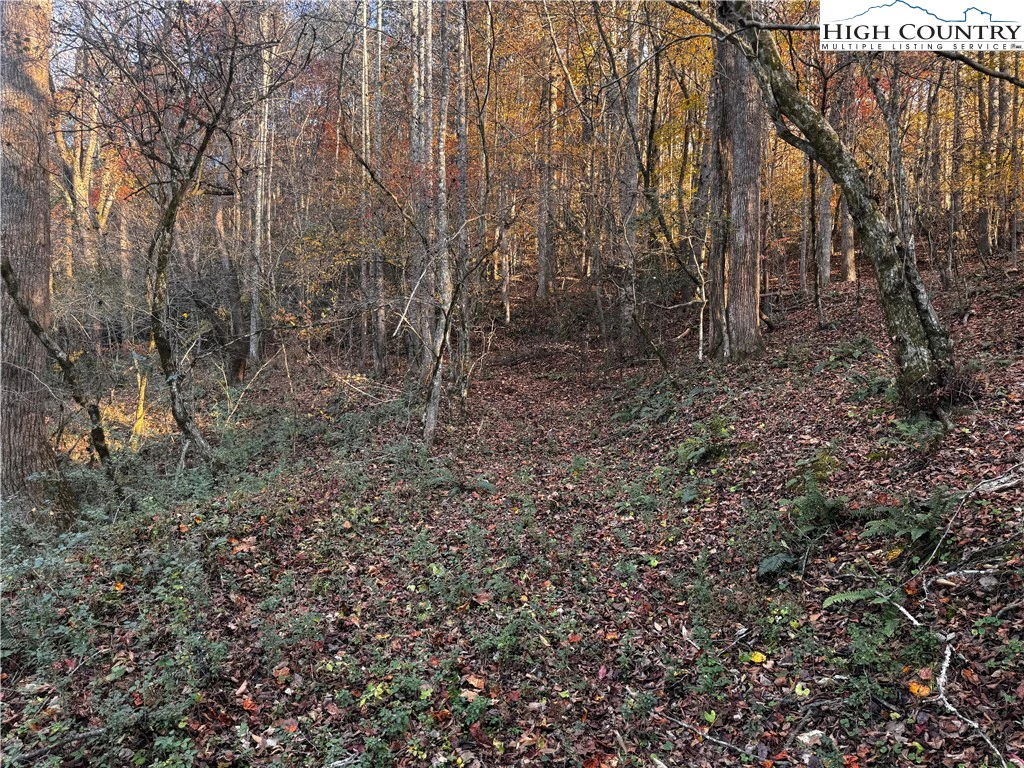 Image number 13 for the current listing