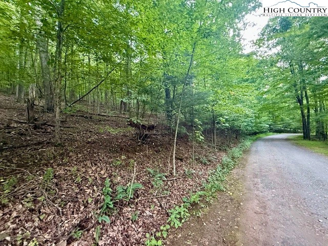 Image number 1 for the current listing