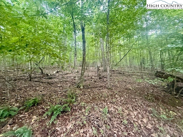 Image number 2 for the current listing