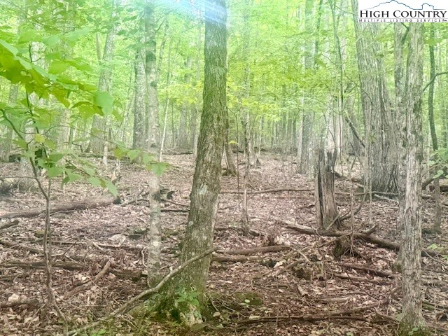 Image number 3 for the current listing