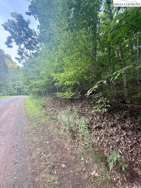Image number 4 for the current listing