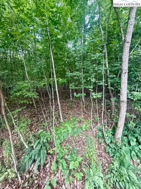 Image number 5 for the current listing