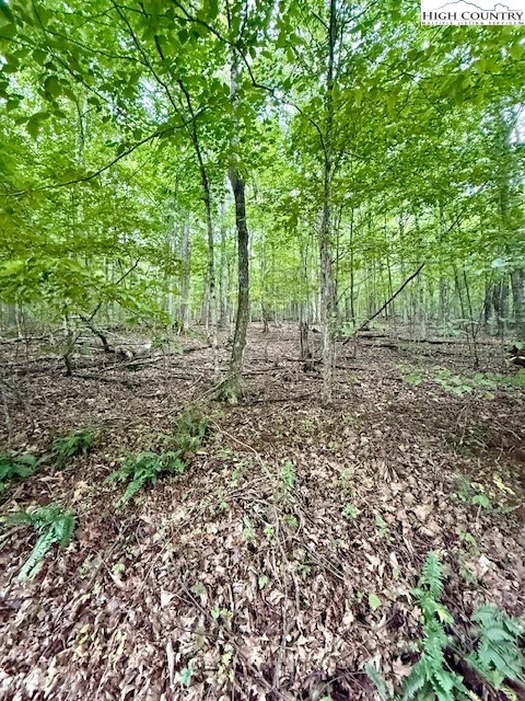 Image number 7 for the current listing
