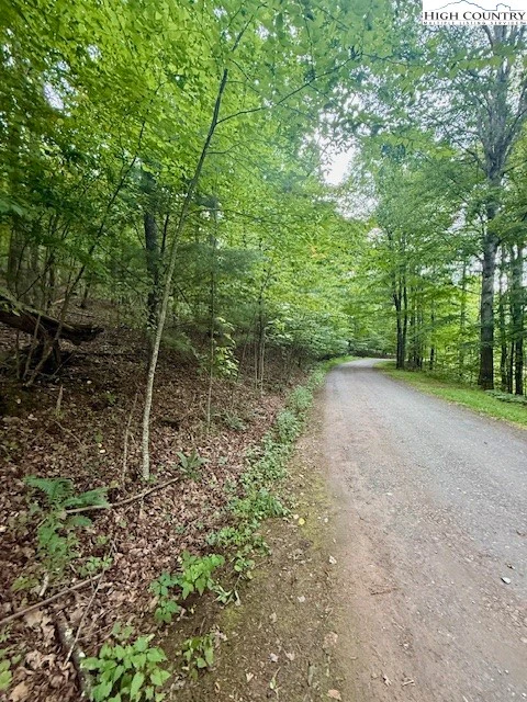 Image number 8 for the current listing