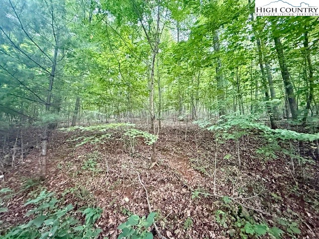 Image number 9 for the current listing