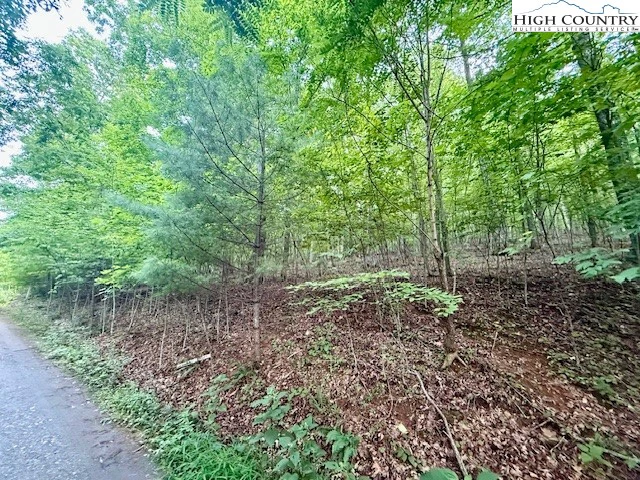 Image number 10 for the current listing