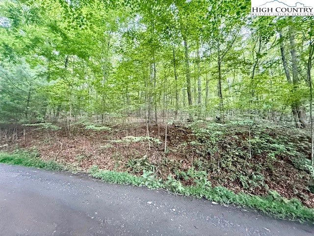 Image number 11 for the current listing