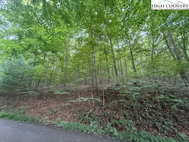 Image number 12 for the current listing