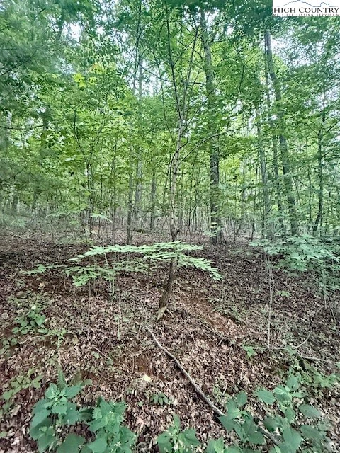 Image number 13 for the current listing