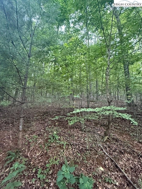 Image number 14 for the current listing