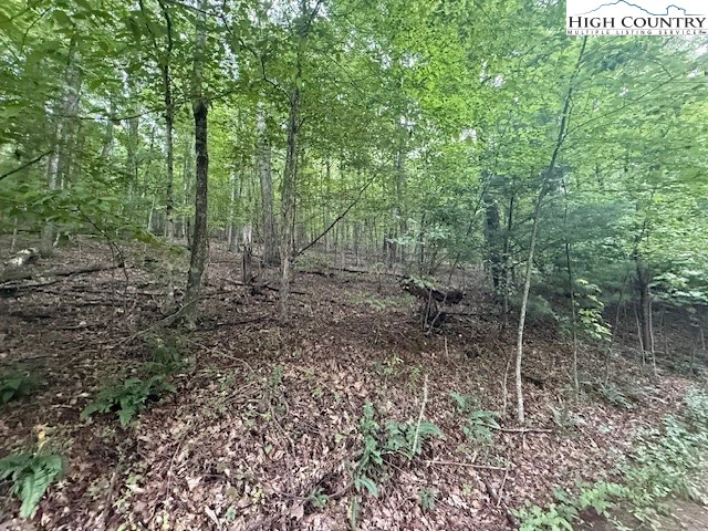 Image number 15 for the current listing