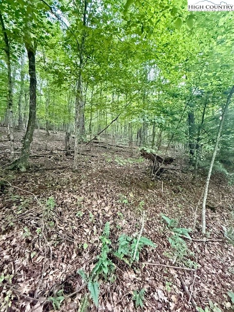Image number 16 for the current listing