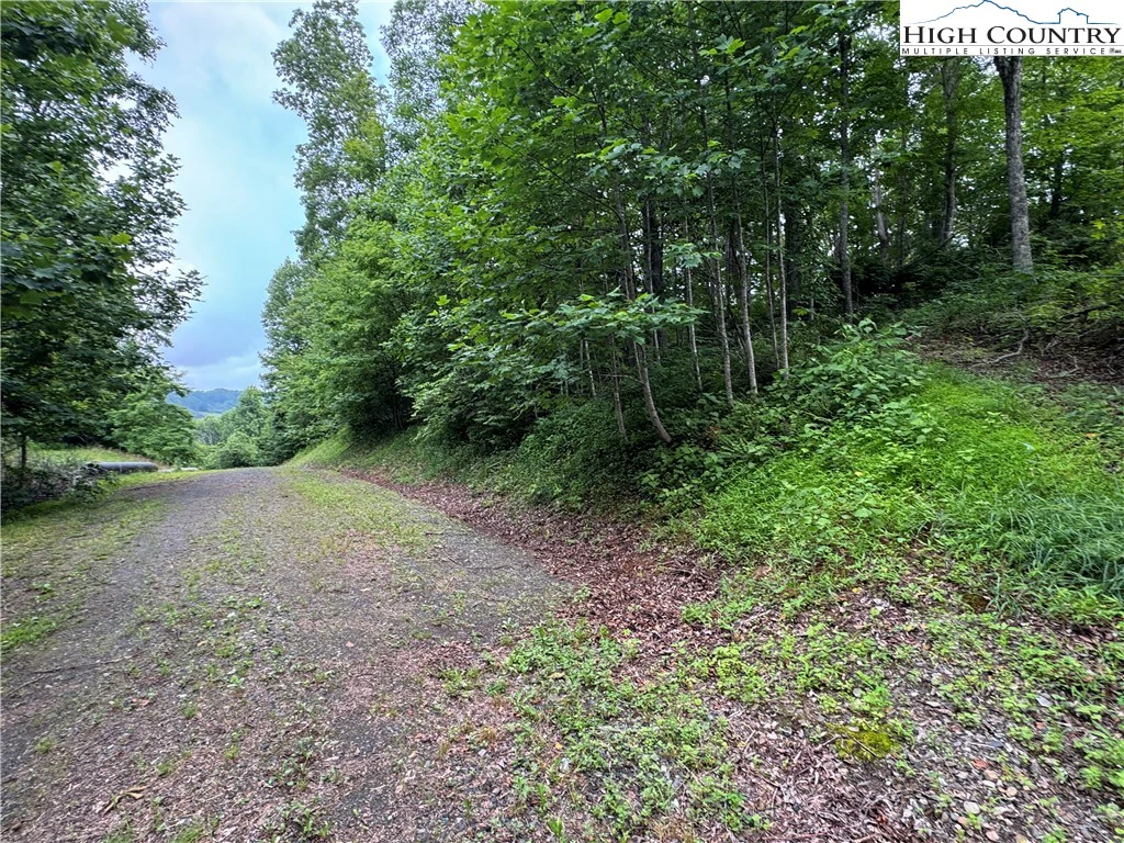 Image number 1 for the current listing