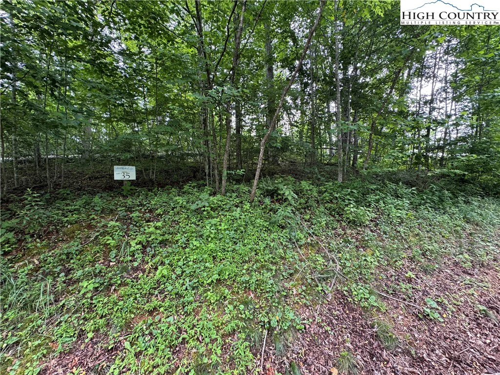 Image number 4 for the current listing