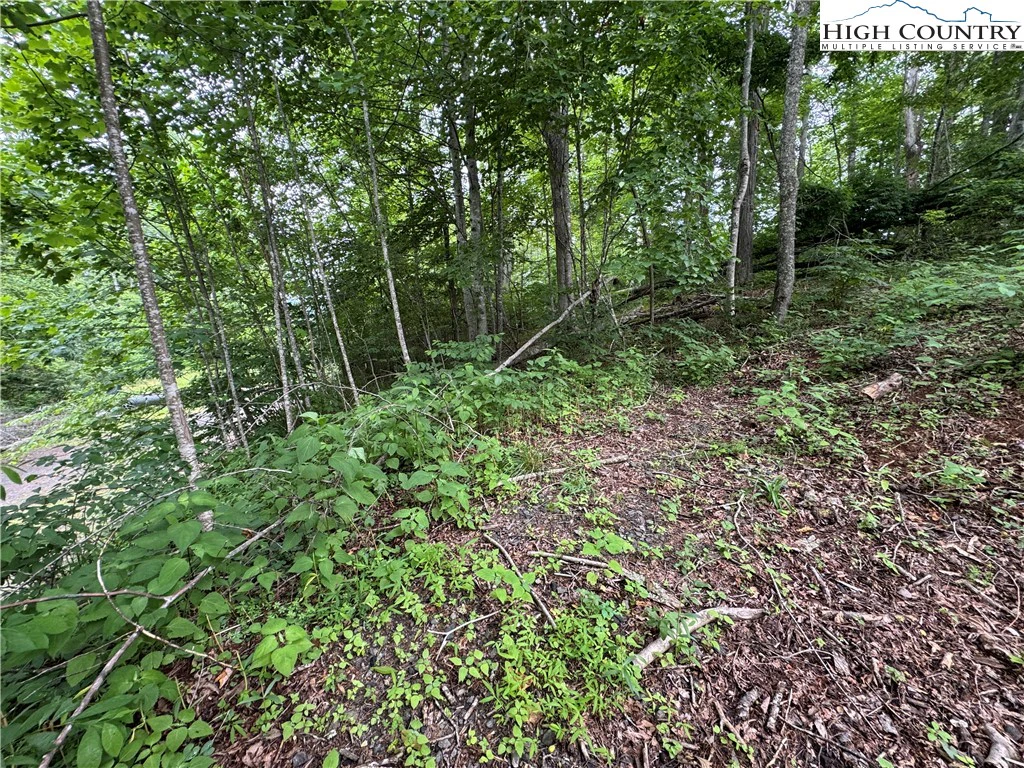Image number 9 for the current listing