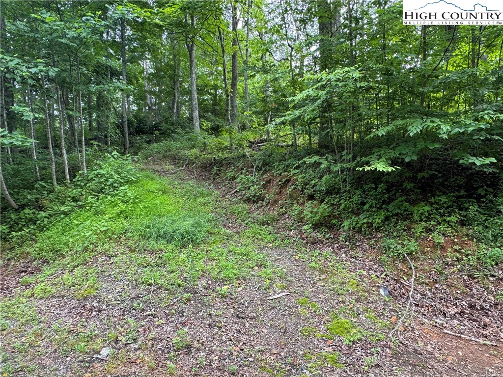 Image number 14 for the current listing