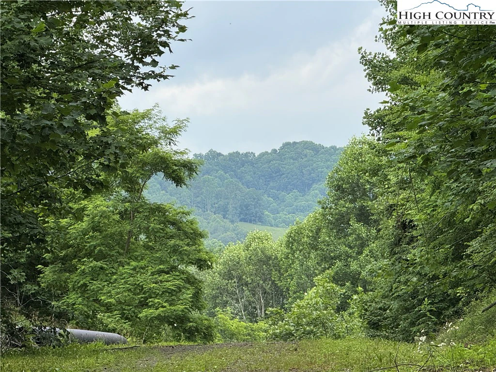 Image number 15 for the current listing