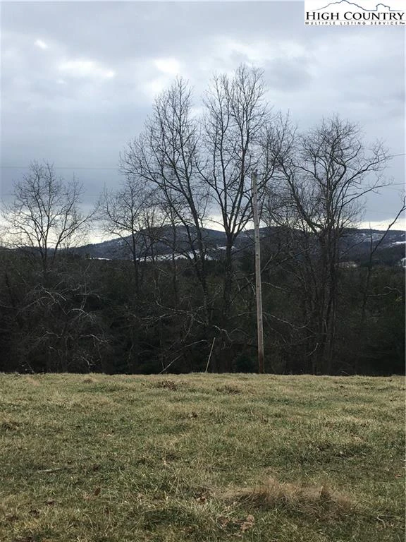 Image number 1 for the current listing