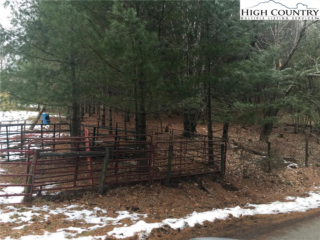 Image number 4 for the current listing